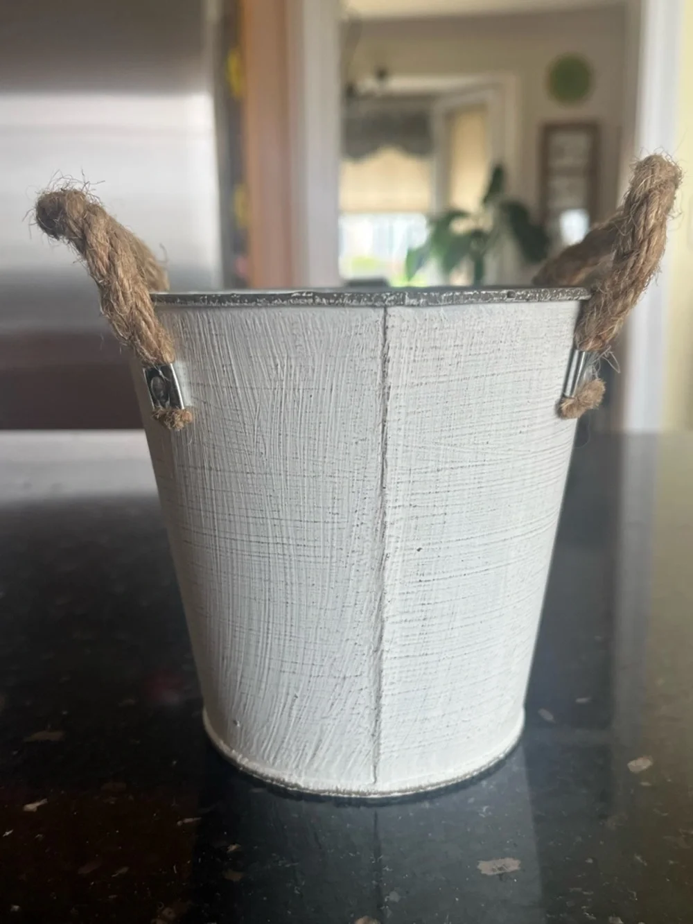 Set of 3 Fleurs & Plantes Rustic White Metal Planter with Rope Handles